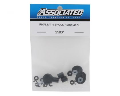 Team Associated Rival MT10 Stoßdämpfer Rebuild Kit