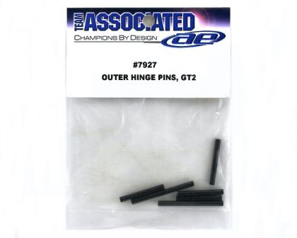 Team Associated Outer Hinge Pins
