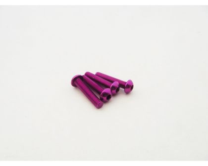 Hiro Seiko Rundkopfschrauben Alu 3x20mm purple