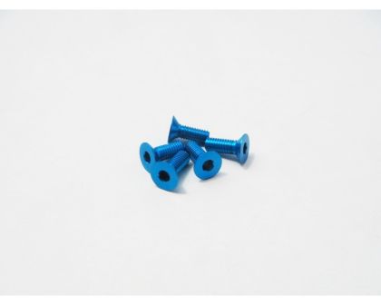 Hiro Seiko Senkkopfschrauben Alu 3x16mm Tamiya blau