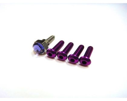 Hiro Seiko 4PX Swarovski Crystal Mounted Screws Purple SWAROVSKI Crystal